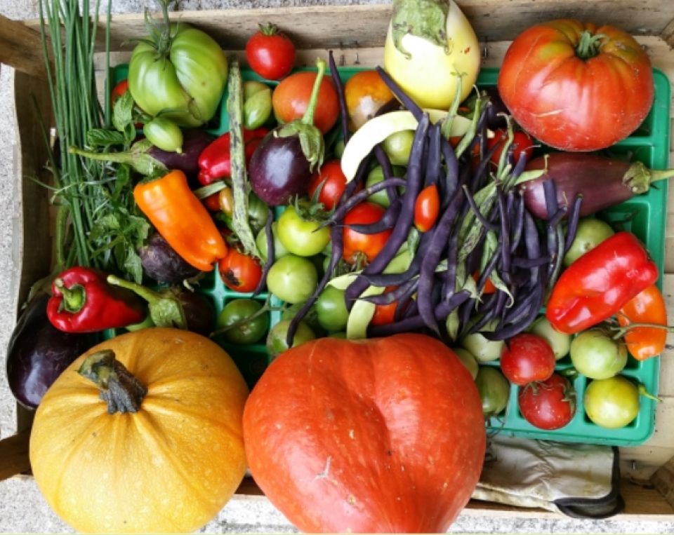 Photo légumes
