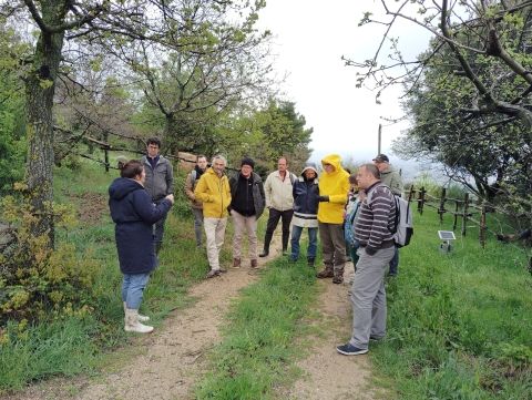 Visite1 2025